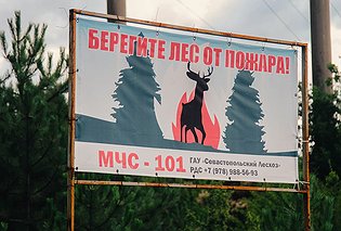 Крымские леса закрыли для посещения до конца июня