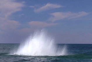 В море возле Учкуевки уничтожены четыре суббоеприпаса