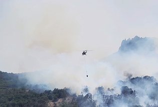 В Коктебеле вторые сутки бушует лесной пожар: возгорание локализовано на 40 гектарах