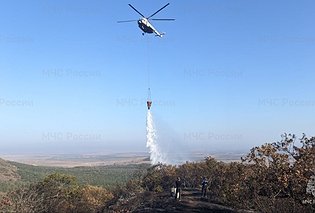 В Крыму ликвидировали крупный природный пожар