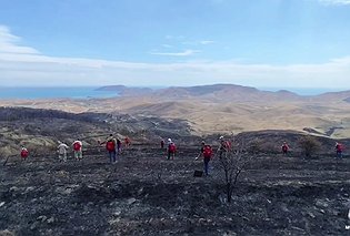 Лесной пожар под Феодосией локализован на 150 гектарах