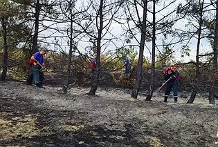 Причиной масштабного пожара на востоке Крыма стал костер в лесу — МЧС